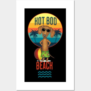 funny beach cute Hot Bod doxie dachshund on beach Posters and Art